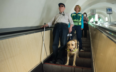 image for It’s International Assistance Dog Week!