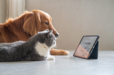 image for High Tech for Pets: Friend or Foe?